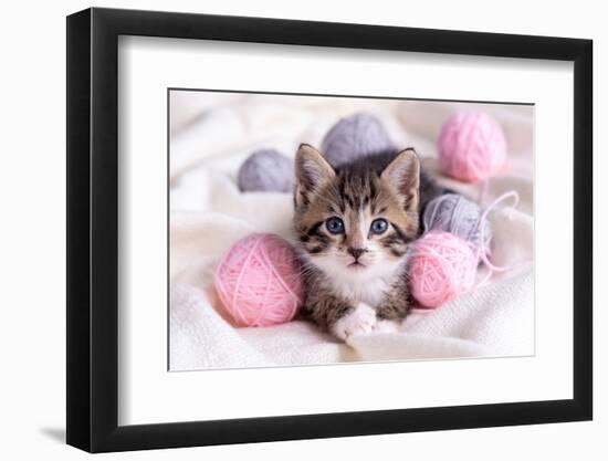 Striped Cat Playing with Pink and Grey Balls Skeins of Thread on White Bed. Little Curious Kitten L-Natali Kuzina-Framed Photographic Print