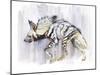 Striped Hyaena, 2010-Mark Adlington-Mounted Giclee Print