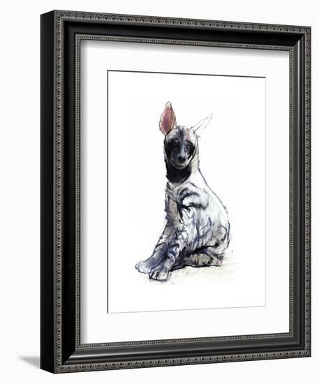 Striped Hyaena Pup, 2010-Mark Adlington-Framed Giclee Print