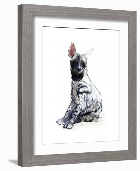 Striped Hyaena Pup, 2010-Mark Adlington-Framed Giclee Print