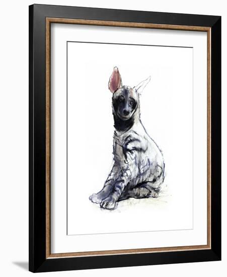 Striped Hyaena Pup, 2010-Mark Adlington-Framed Giclee Print