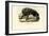 Striped Hyena, 1863-79-Raimundo Petraroja-Framed Giclee Print