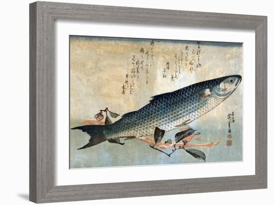 Striped Mullet, Japanese Wood-Cut Print-Lantern Press-Framed Art Print