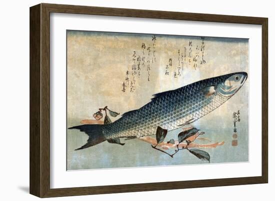 Striped Mullet, Japanese Wood-Cut Print-Lantern Press-Framed Art Print