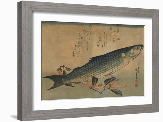 Striped Mullet-Ando Hiroshige-Framed Art Print