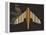 Striped Paper Planes-Belen Mena-Framed Premier Image Canvas