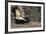 Striped Skunk and Squirrel-DLILLC-Framed Photographic Print