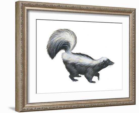 Striped Skunk (Mephitis Mephitis), Mammals-Encyclopaedia Britannica-Framed Art Print