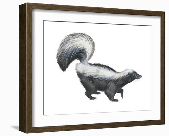 Striped Skunk (Mephitis Mephitis), Mammals-Encyclopaedia Britannica-Framed Art Print