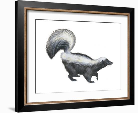 Striped Skunk (Mephitis Mephitis), Mammals-Encyclopaedia Britannica-Framed Art Print