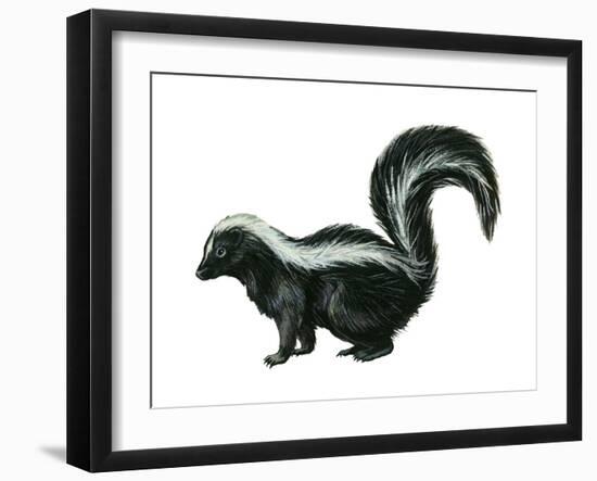 Striped Skunk (Mephitis Mephitis), Mammals-Encyclopaedia Britannica-Framed Art Print
