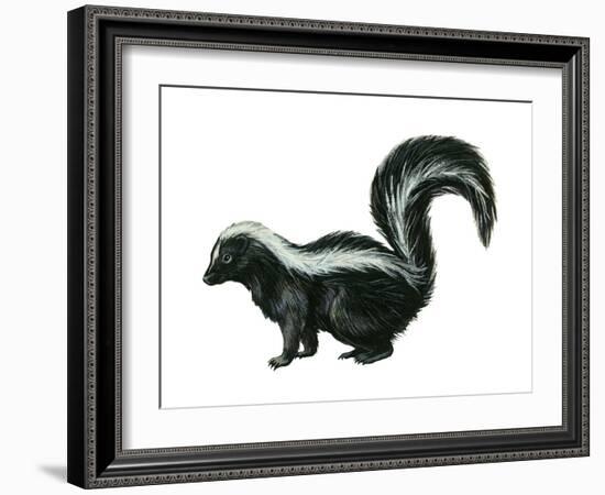 Striped Skunk (Mephitis Mephitis), Mammals-Encyclopaedia Britannica-Framed Art Print