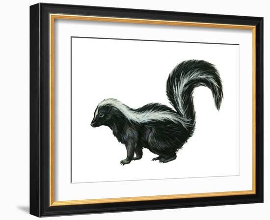 Striped Skunk (Mephitis Mephitis), Mammals-Encyclopaedia Britannica-Framed Art Print