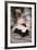 Striped Skunk-DLILLC-Framed Photographic Print