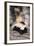 Striped Skunk-DLILLC-Framed Photographic Print