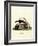 Striped Skunk-null-Framed Giclee Print