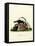 Striped Skunk-null-Framed Premier Image Canvas