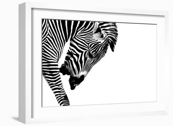 Striped Stallion-SHS Photography-Framed Art Print