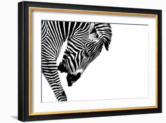 Striped Stallion-SHS Photography-Framed Art Print