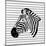 Striped Zebra-Martina Pavlova-Mounted Art Print