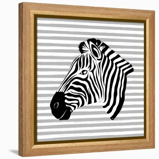 Striped Zebra-Martina Pavlova-Framed Stretched Canvas