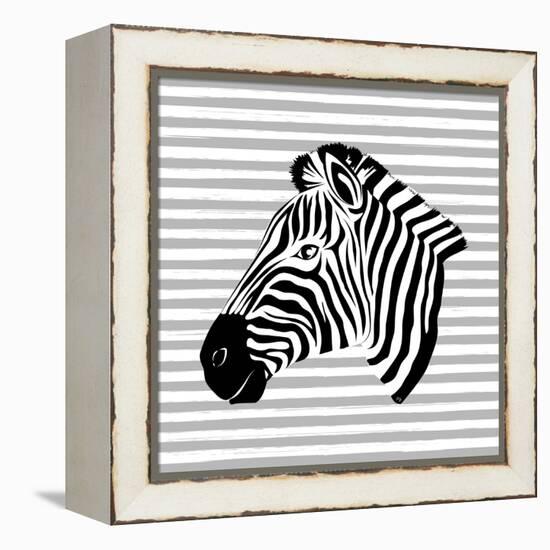 Striped Zebra-Martina Pavlova-Framed Stretched Canvas