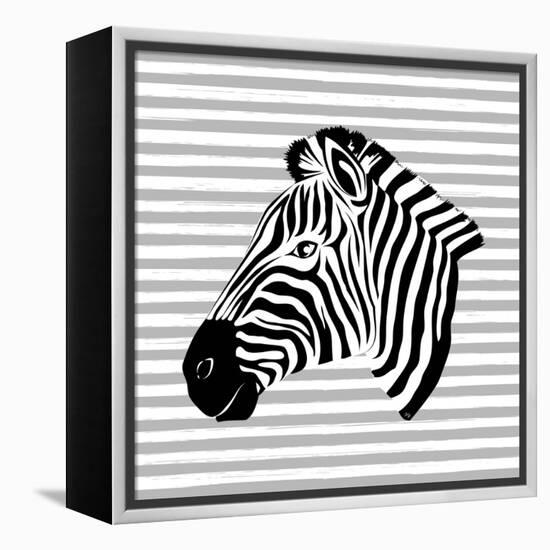 Striped Zebra-Martina Pavlova-Framed Stretched Canvas