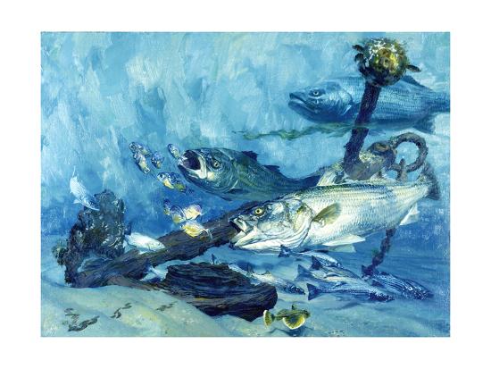 Stripers At Anchor Chesapeake Bay 1985 Giclee Print Stanley