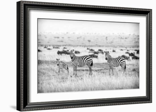 Stripes-Mark Bridger-Framed Art Print