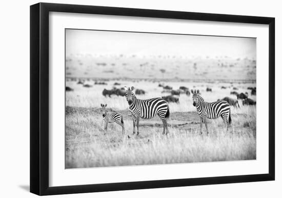 Stripes-Mark Bridger-Framed Art Print