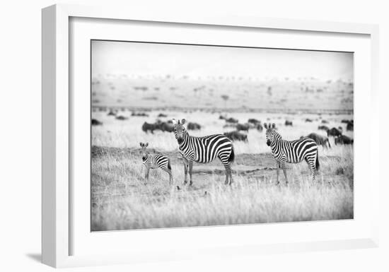 Stripes-Mark Bridger-Framed Art Print