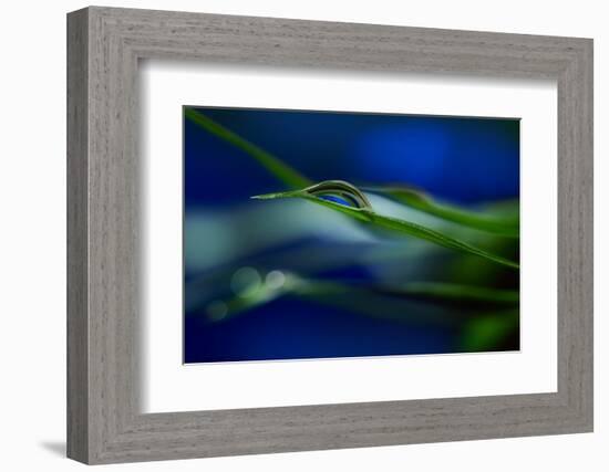 Stripes-Heidi Westum-Framed Photographic Print