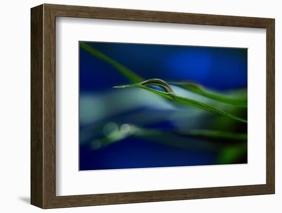 Stripes-Heidi Westum-Framed Photographic Print