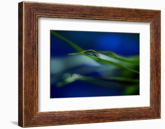 Stripes-Heidi Westum-Framed Photographic Print