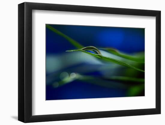 Stripes-Heidi Westum-Framed Photographic Print