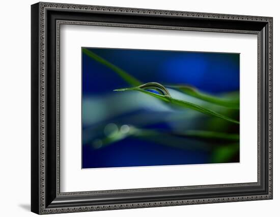 Stripes-Heidi Westum-Framed Photographic Print