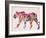 Stripey-Mark Adlington-Framed Giclee Print