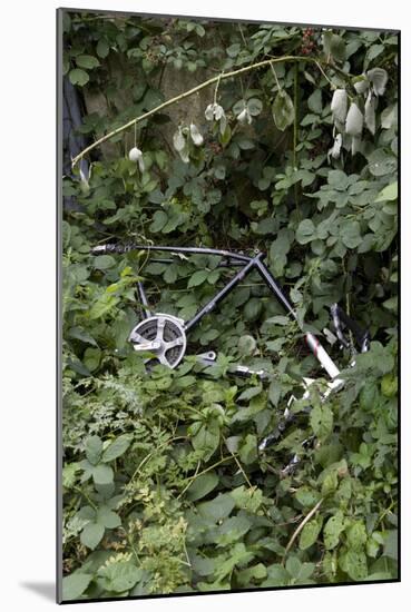 Stripped and Dumped Bicycle, London-G. Jackson-Mounted Photo
