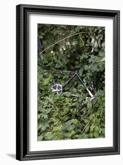 Stripped and Dumped Bicycle, London-G. Jackson-Framed Photo