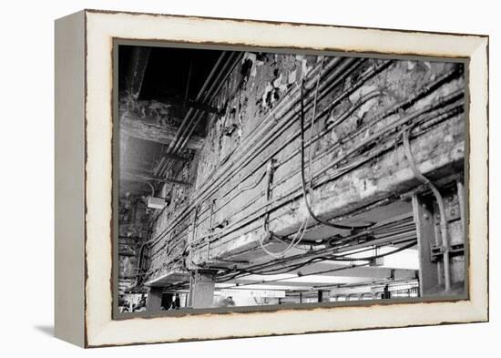 Stripped Bare-Evan Morris Cohen-Framed Premier Image Canvas