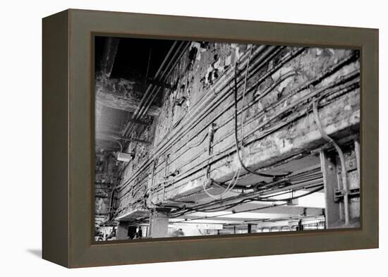 Stripped Bare-Evan Morris Cohen-Framed Premier Image Canvas