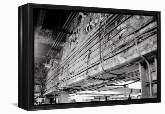 Stripped Bare-Evan Morris Cohen-Framed Premier Image Canvas