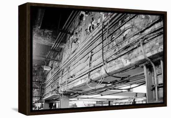 Stripped Bare-Evan Morris Cohen-Framed Premier Image Canvas