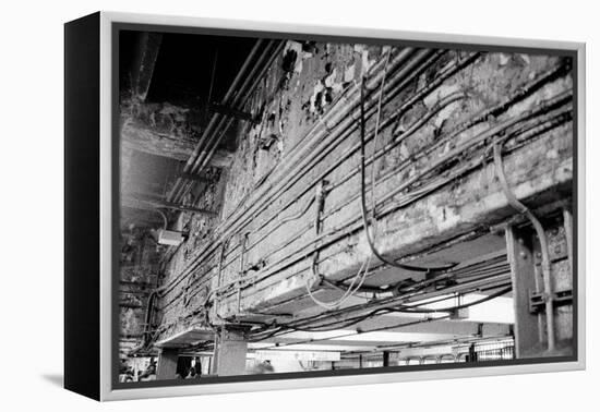 Stripped Bare-Evan Morris Cohen-Framed Premier Image Canvas