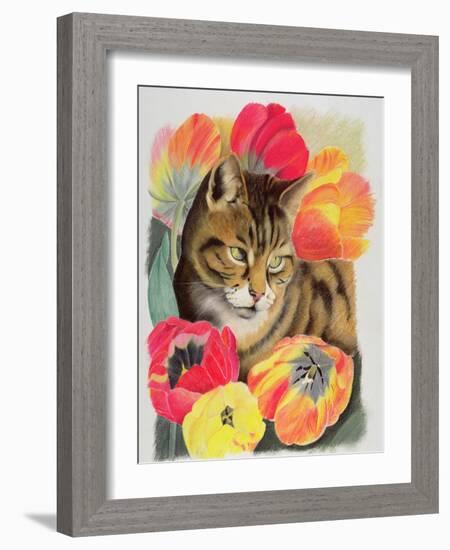 Stripy and Tulip-Anne Robinson-Framed Giclee Print