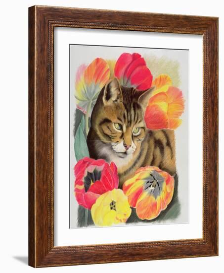 Stripy and Tulip-Anne Robinson-Framed Giclee Print