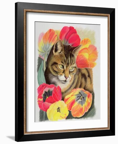 Stripy and Tulip-Anne Robinson-Framed Giclee Print