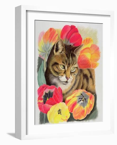 Stripy and Tulip-Anne Robinson-Framed Giclee Print