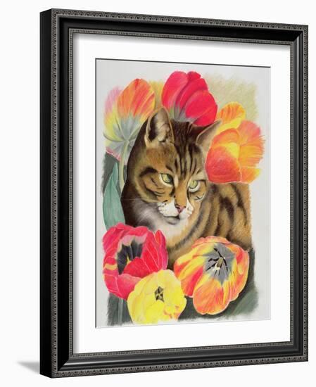 Stripy and Tulip-Anne Robinson-Framed Giclee Print