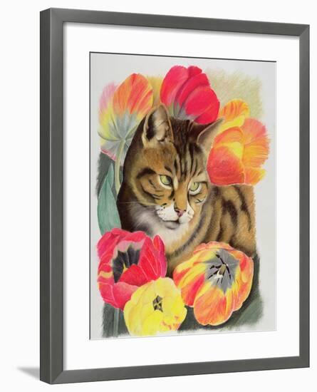 Stripy and Tulip-Anne Robinson-Framed Giclee Print